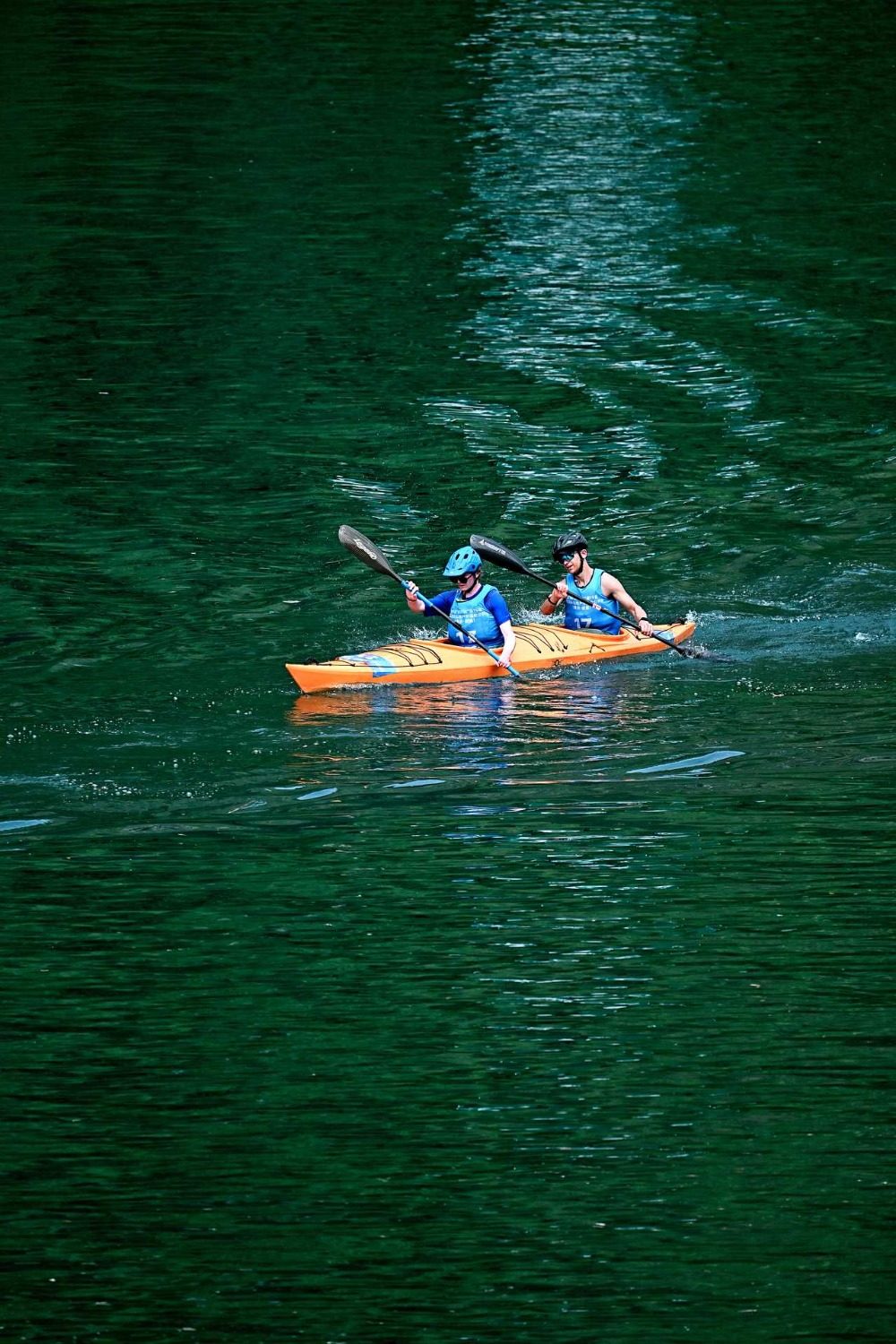 水平最高的, 他对本次户, 规模最大