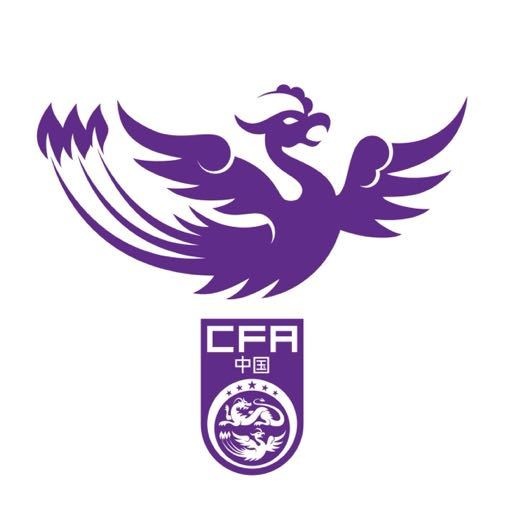 技术分析, 蔡鑫林, cn